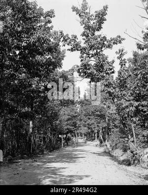 Road to High Rock, Pen Mar Park, Md., between 1900 and 1906. Stock Photo