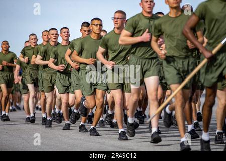 New U.S. Marines with Lima Company, 3rd Recruit Training Battalion, conduct the motivational run at Marine Corps Recruit Depot San Diego, Jan. 12, 2023. The motivational run was the last physical fitness event conducted in recruit training. Stock Photo