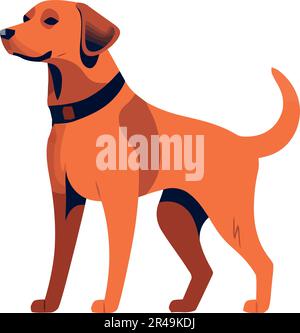 Cute puppy standing, watching loyal friend Stock Vector Image & Art - Alamy