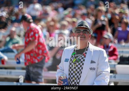 Indianapolis, USA. 26th May, 2023. INDIANAPOLIS, INDIANA - MAY 26: Fans watch from the stands during Carb Day before the 2023 Indy 500 at Indianapolis Motor Speedway on May 26, 2023 in Indianapolis, Indiana. Credit: Jeremy Hogan/Alamy Live News Stock Photo