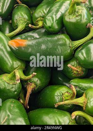 A vertical image of a large collection of spicy jalapeno peppers arranged in a pile Stock Photo