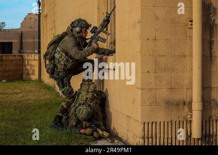 A Dutch Marine with Marine Squadron Carib, Netherlands Marine Corps climbs through a window during Exercise Caribbean Urban Warrior on Camp Lejeune, North Carolina, March 31, 2023. Exercise Caribbean Urban Warrior is a bilateral training evolution designed to increase global interoperability between 2d Marine Division and Marine Squadron Carib. Stock Photo