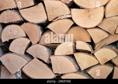 Birch firewood stacked in a woodpile closeup Stock Photo