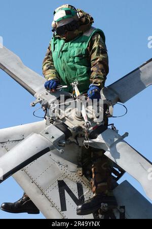 US Navy Aviation Machinist's Mate performs maintenance on the tail rotor of an SH-60F Seahawk Stock Photo