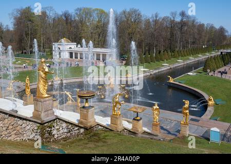 PETRODVORETS, RUSSIA - MAY 11, 2023: At the Grand Cascade on a sunny May day. Palace and park complex Peterhof Stock Photo