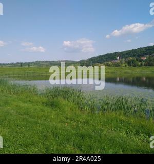 An idyllic rural landscape featuring a large pond situated in a lush green field Stock Photo