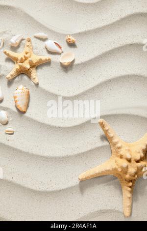 Starfishes and seashells on sand Stock Photo