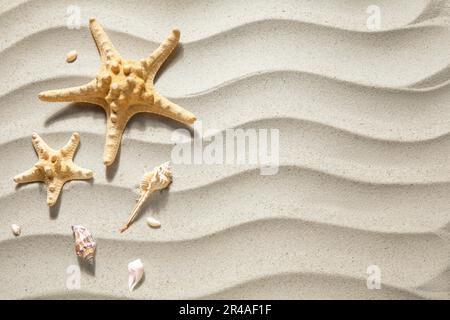 Starfishes and seashells on sand Stock Photo