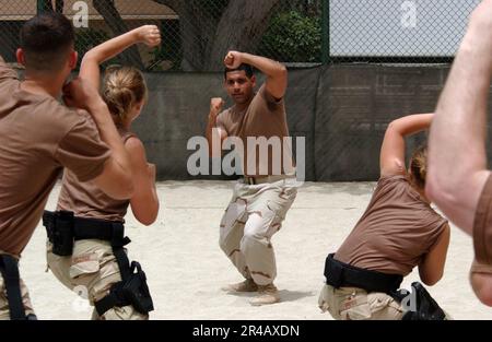 US Navy  Hull Technician 2nd Class demonstrates various overhand blocking techniques. Stock Photo