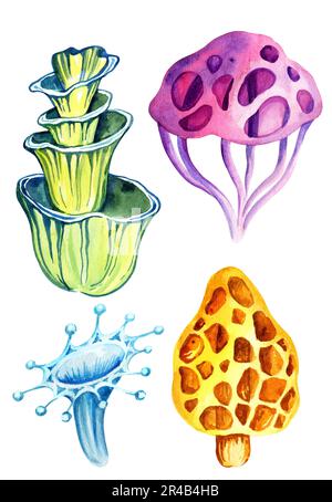 watercolor composition of fantastic cosmic mushrooms and stas on white background, hand draw illustration with magic colorful plant, neon color. Stock Photo
