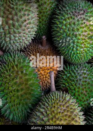 A vertical shot of a bunch of green durian fruits Stock Photo