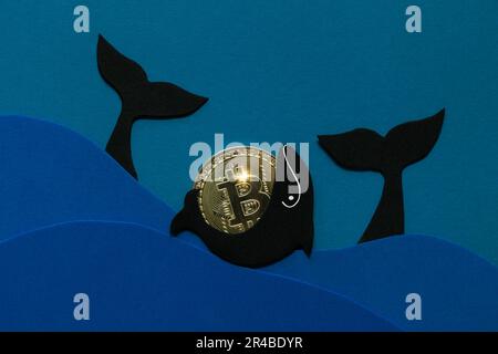 Bitcoin Whale Concept. Large holders of coin. Manipulated currency valuations Stock Photo