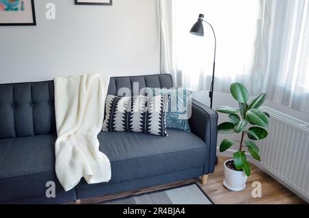 Scandinavian interior style modern studio small apartment in white and grey colors, sofa in living area Stock Photo