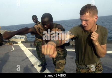 US Navy  U.S. Marine Corps Lance Cpl. assigned to 2nd Platoon, Charlie Company, 1st Battalion, 8th Marines, trains a Senegalese Navy infantryman in Marine Corps Martial Arts. Stock Photo