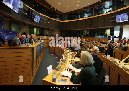 European Parliament, Brussels, Belgium 24/05/2023 – Maryam Rajavi, the president-elect of the National Council of Resistance of Iran, as the note spea Stock Photo