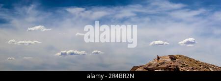 The people hiking down a hill at the Giant Logs trail in Petrified Forest National Park, Arizona USA Stock Photo