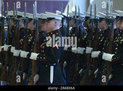 US Navy U.S. Marine Ceremonial Guards render honors during a full ...