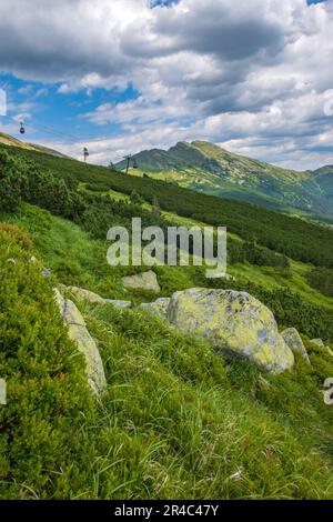 A picturesque view of a grassy hillside with an aerial cableway in the distance. Low Tatras. Stock Photo