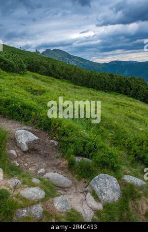A grassy hillside against the background of a cloudy sky. Low Tatras, Slovakia. Stock Photo