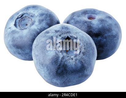 Group of blueberry berry isolated on white background with clipping path. Stock Photo
