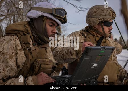 U.S. Marines with 1st Battalion, 10th Marine Regiment, 2d Marine Division conduct tactical operations during exercise Rolling Thunder on Fort Drum, New York, March 27, 2023. This exercise is a live-fire artillery event that tested the 10th Marine Regiment’s ability to operate in a simulated littoral environment against a peer threat in a dynamic and multi-domain scenario. Stock Photo