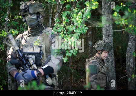 Warsaw, Estonia. 20th May, 2023. French paratroopers are seen during an exercise near Viitna, Estonia on 20 May, 2023. Estonia is hosting the Spring Storm NATO exercises involving over 13 thousand personnel with US, German, British, French and Polish forces training together with the Estonian Defence Forces (eDF). (Photo by Jaap Arriens/Sipa USA) Credit: Sipa USA/Alamy Live News Stock Photo