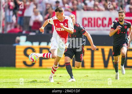 Cologne, Germany. 27th May, 2023. COLOGNE, GERMANY - MAY 27: Dejan Ljubicic of 1. FC Koln during the Bundesliga match between 1. FC Koln and FC Bayern Munchen at the RheinEnergieStadion on May 27, 2023 in Cologne, Germany (Photo by Rene Nijhuis/Orange Pictures) Credit: Orange Pics BV/Alamy Live News Stock Photo