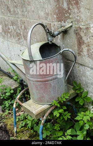Old galvanised watering can underneath an external tap, again old. Stock Photo
