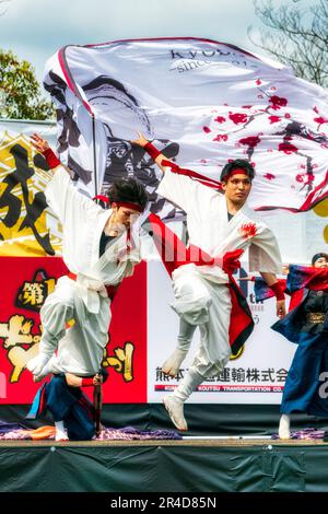 Japanese young men Yosakoi dancers wearing white yukata and trousers with red sashes, on stage at the annual Kyusyu Gassai dance festival at Kumamoto. Stock Photo