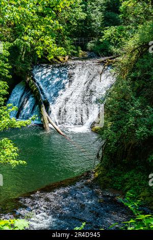 A landscape shot of Drake Falls at Silver Falls State Park in Oregon State Stock Photo