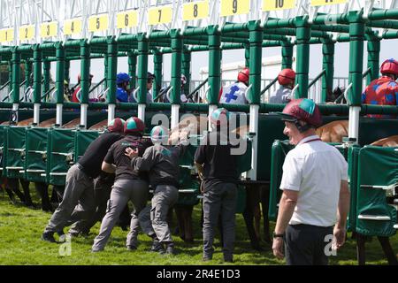 York, UK. 27th May 2023. Racecourse staff push racehorse Burning Cash into the starting gates at York Racecourse. Credit: Ed Clews/Alamy Live News. Stock Photo