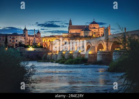 Cordoba Skyline at night with Cathedral, Roman Bridge and San Rafael triumphal monument - Cordoba, Andalusia, Spain Stock Photo