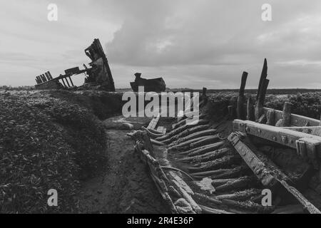 A small boat is beached on a muddy shoreline, surrounded by a stack of wooden logs Stock Photo