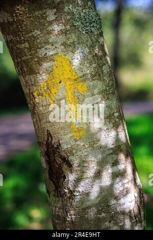 Arrow sign leading The Way to Santiago painted on a tree Stock Photo