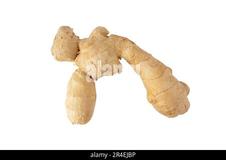 Fresh ginger isolated on white top view. Zingiber officinale root. Stock Photo