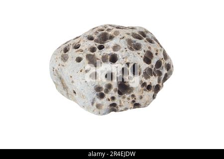 Grey porous natural stone with holes isolated on white. Volcanic rocks pebble. Stock Photo