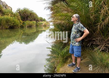A man with long hair stands on the bank of a river overgrown with palm trees and looks at the other side, Greece, Crete, Stock Photo