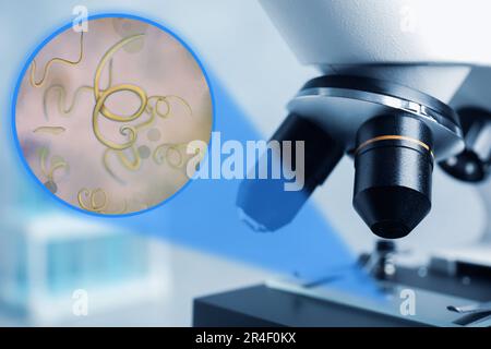https://l450v.alamy.com/450v/2r4f0kx/microscope-in-laboratory-closeup-zoomed-view-on-parasitic-worms-2r4f0kx.jpg