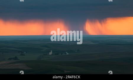 Ominous view across the Palouse in Eastern Washington of rain shaft at sunset over spring fields Stock Photo