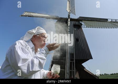 Danstedt, Germany. 26th May, 2023. Mill association chairman Ludger Eckers blows flour into the wind in front of the Bockwindmühle in Danstedt. The mill was built in 1817 on a small, windy hill southeast of the village. It was rebuilt after a fire in 1835. The mill was owned by a miller family for six generations until 1980. Between 1987 and 1991 the mill was extensively restored. The mill is maintained by the Mühlenverein Danstedt. The mill is put into operation on special occasions - such as the German Mill Day. Credit: Matthias Bein/dpa/Alamy Live News Stock Photo
