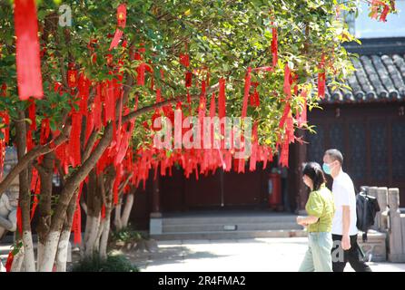 NANJING, CHINA - MAY 28, 2023 - Parents of candidates hang wishing cards on several osmanthus trees in the Hall of Great Success of Confucius Temple i Stock Photo