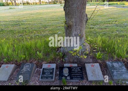 The biggest Soviet war cemetery in Europe in Braniewo, Poland © Wojciech Strozyk / Alamy Stock Photo Stock Photo