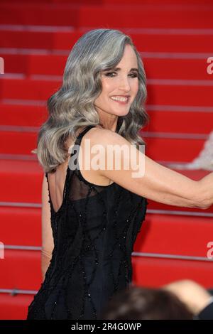 Cannes, France. 28th May, 2023. Cannes, France 26. May 2023; Andie MacDowell attends the 'The Old Oak' red carpet during the 76th annual Cannes film festival at Palais des Festivals on May 26, 2023 in Cannes, France, picture and copyright Thierry CARPICO/ATP images (CARPICO Thierry/ATP/SPP) Credit: SPP Sport Press Photo. /Alamy Live News Stock Photo