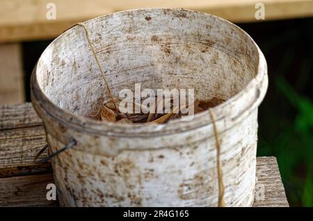 An old plastic bucket with garbage, in the village Stock Photo