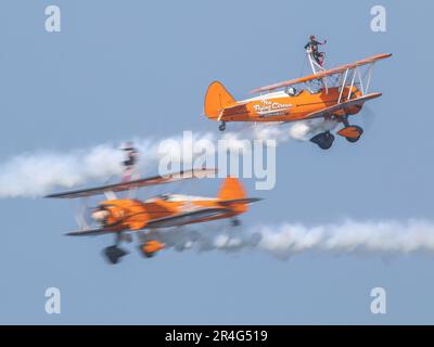 Bangor Sea Festival Wingwalkers Stock Photo