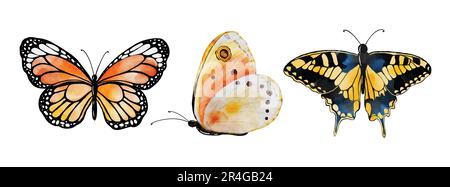 Watercolor multicolored butterflies collection, vector butterfly elements on white background. Illustration butterfly suitable for decorating in your Stock Vector