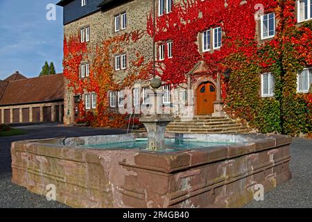 Castle, vine leaves, Lauterbach, Vogelsbergkreis district, Hesse, Germany Stock Photo