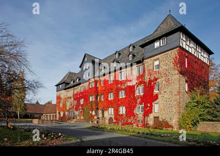 Castle, vine leaves, Lauterbach, Vogelsbergkreis district, Hesse, Germany Stock Photo