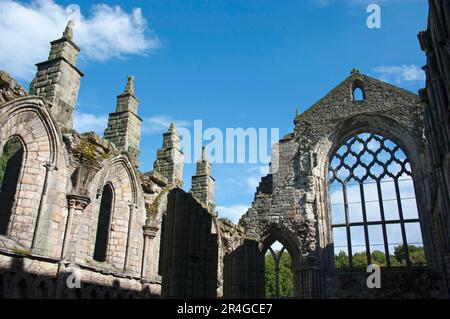 Church ruins, Holyrood Palace, Edinburgh, Lothian, Scotland, United Kingdom Stock Photo
