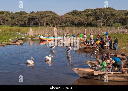 Boats in fishing harbour, Awasa, Ethiopia, Awassa, Hawassa Stock Photo